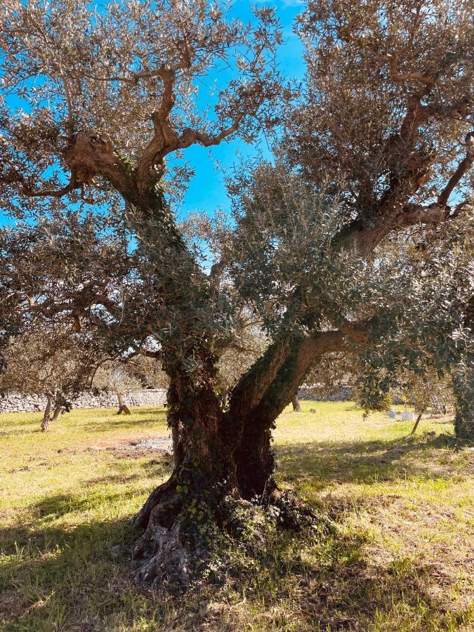 Trulli Mancinella Villa Locorotondo Buitenkant foto