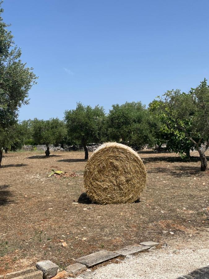 Trulli Mancinella Villa Locorotondo Buitenkant foto